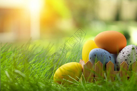 彩绘复活节彩蛋节日概念图片