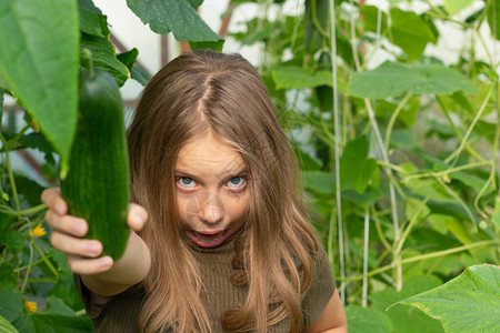 小女孩手里拿着绿黄瓜穿着绿色毛衣站在她手图片