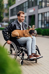 手持法国斗牛犬在城市街上跪着图片