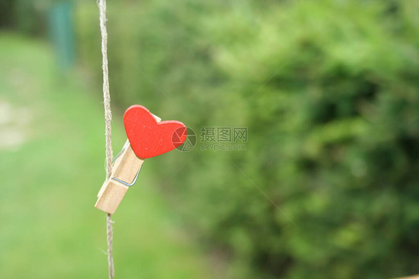 穿着红色的心挂在绿草的背景上情人节的概念是海报或卡片设图片