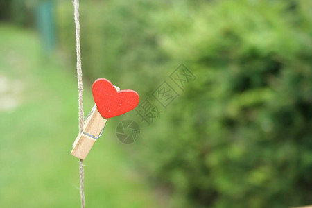 穿着红色的心挂在绿草的背景上情人节的概念是海报或卡片设图片
