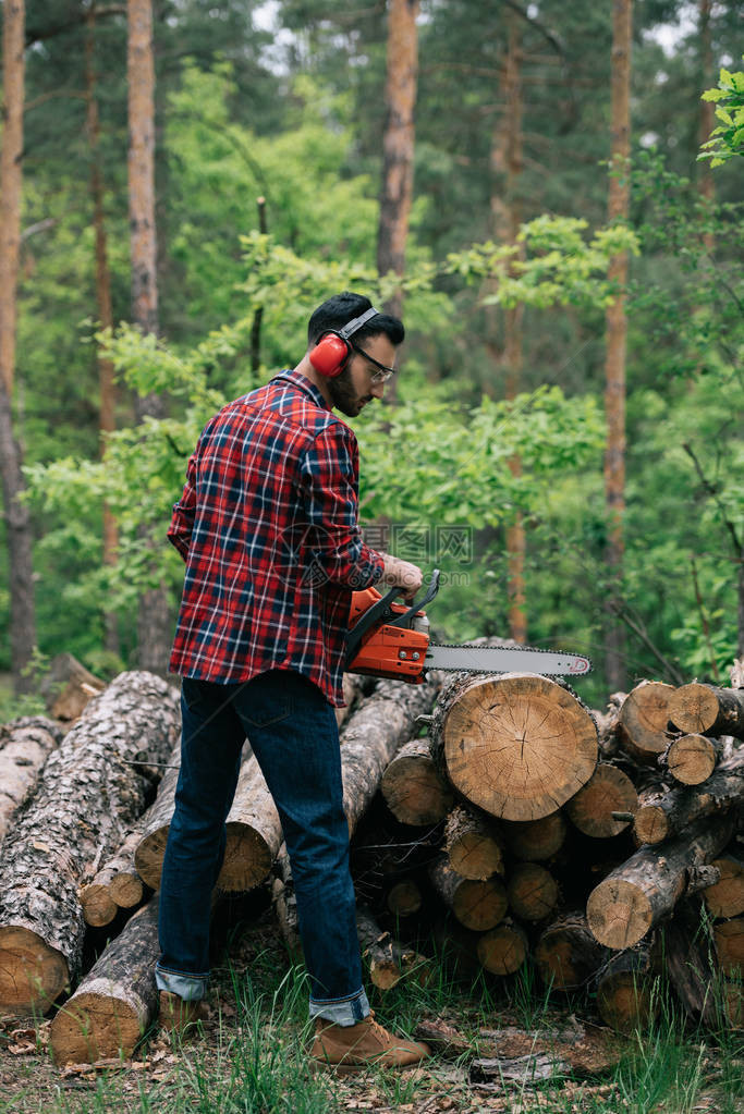 听力保护者用木链锯砍树干时的长图片