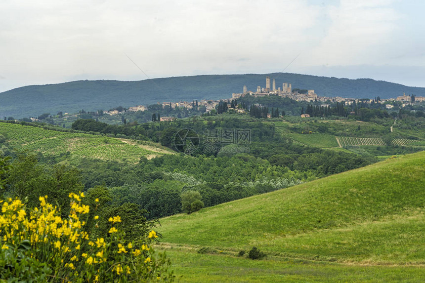 在意大利托斯卡纳州锡耶纳的PoggibonsiSieenaSanGimignano和SanGimignano附近的Chianti图片