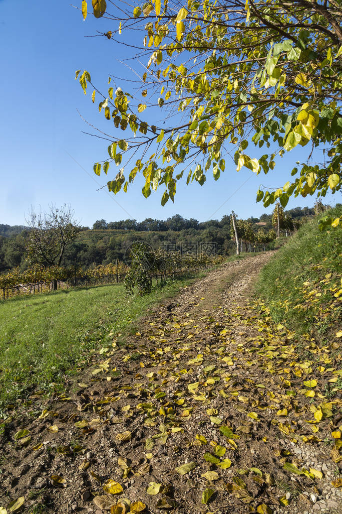 Montevecchia和Curone公园图片