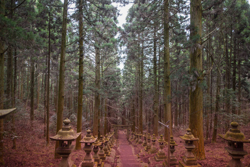 在山中安静地作为动画舞台的神社图片