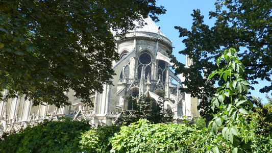 绿树成荫的巴黎圣母院建筑图片