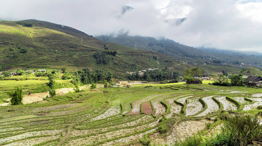 Rice田SAPA的老村庄是西北越南图片
