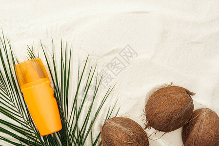 棕榈叶椰子和砂上图片