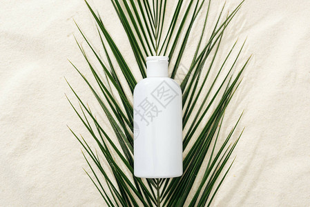 沙滩上绿色棕榈叶上的白色防晒乳液图片