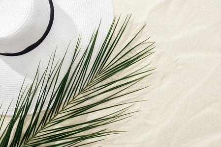 沙滩上白色草帽和绿色棕榈叶的顶视图图片
