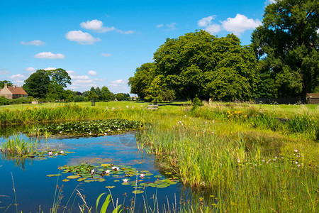 英国格洛斯特郡塞文的弗兰普顿风景如画的村庄绿地和池塘上的夏日阳光它占地约22英亩背景图片