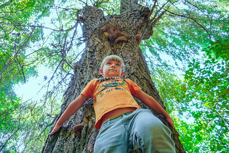 一个男孩站在一棵大树附近宽角照图片