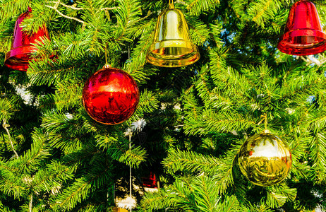 装饰圣诞树背景图片