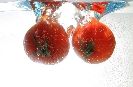 漂浮在水中的西红柿图片