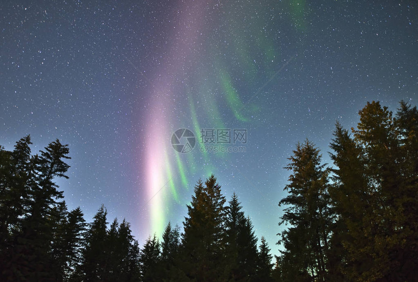 东阿拉斯加的北极光aurorano图片