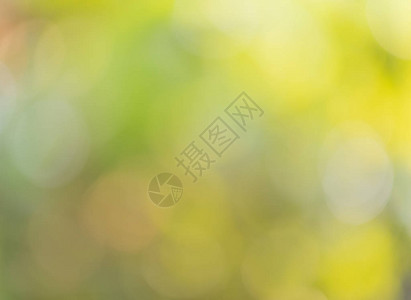 Abstrct淡出焦点的色彩多绿色黄图片