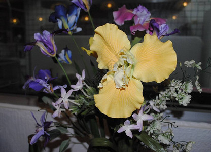 一束人造花中的淡黄色兰花图片