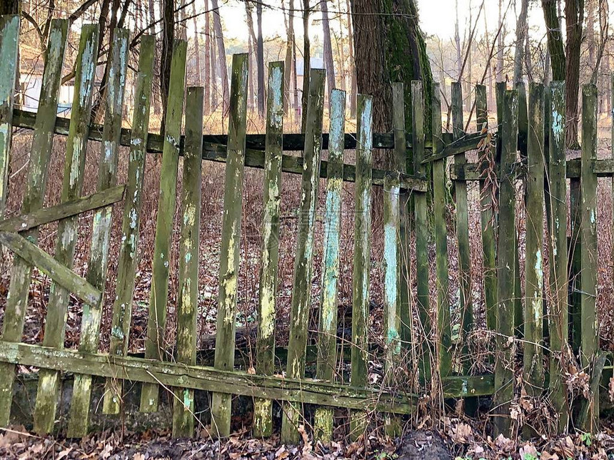 旧木栅栏向一边倾斜用腐烂的木板制成的栅栏村里的树篱图片