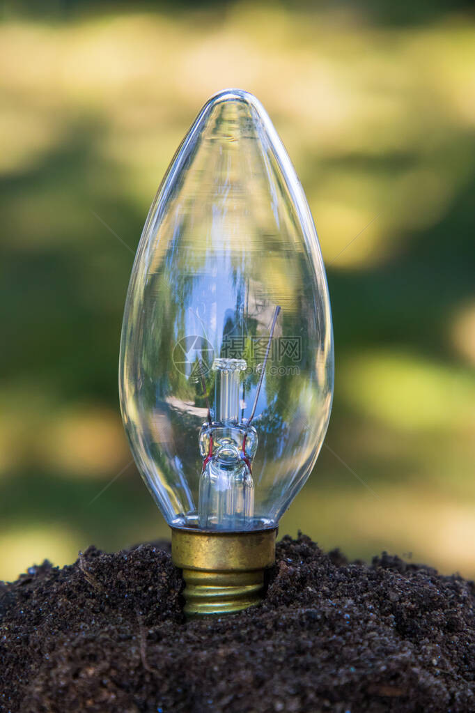 地球上的灯泡可持续能源概念可图片