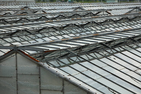 温室屋顶栽培蔬菜有机植物产业图片