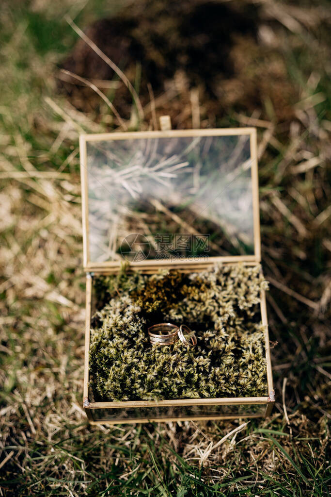 新娘和新郎在绿草上镜像盒中的结婚戒指图片