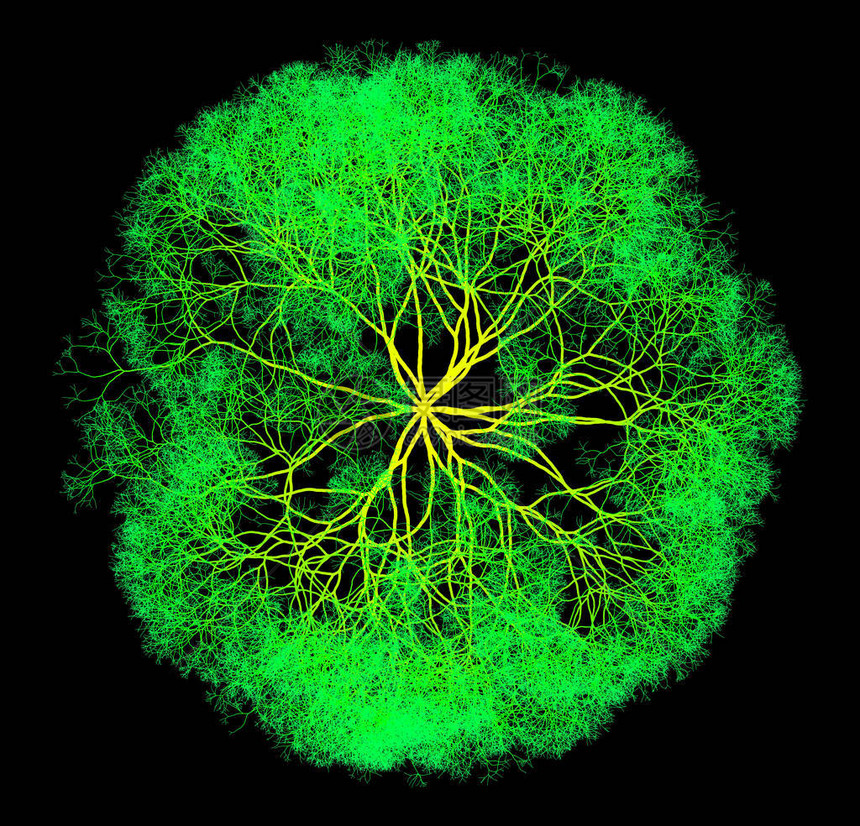 计算机生成的自相似L系统分支绿苔分形球生成艺术绿色图片