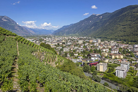 从Martiny镇和Rhone河谷周围的田地看图片