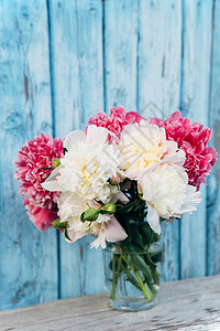 蓝色木头背景的花瓶中粉红色图片