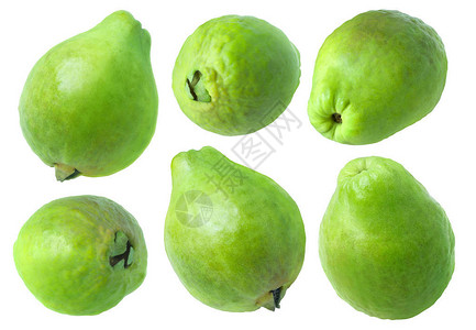 孤立的guava收集在白色背景和剪切路径上隔离的全部绿色g背景图片