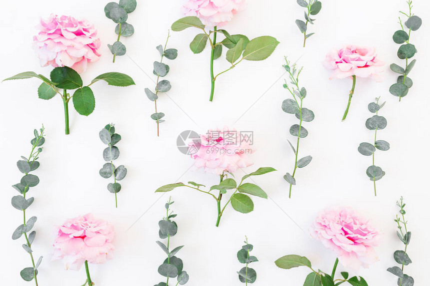 粉红玫瑰花和白色背景的雪花框架图片