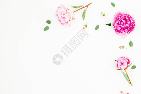 粉红色花朵和白背景叶子的花岗岩组成背景图片