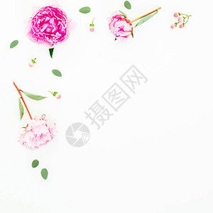粉红色花朵和白叶的花岗岩组成背景图片