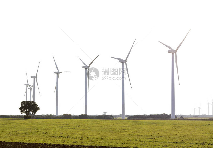 绿色田野上的风力农场图片