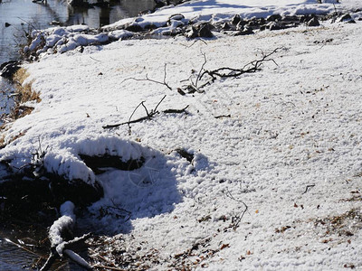 池塘边的地面覆盖着新落的雪图片