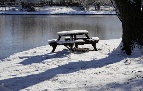 在池塘旁用树木和圆桌上放雪的冬季清晨风图片