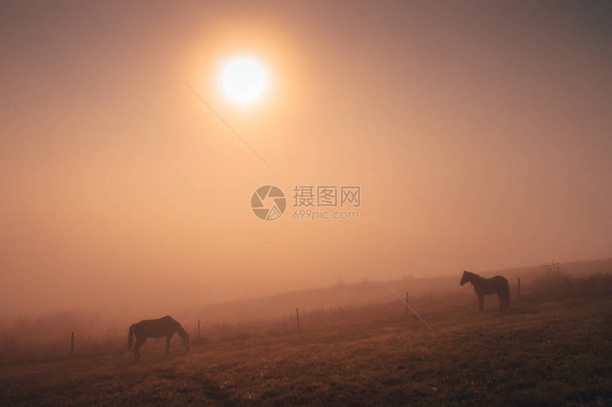 秋天夏日清晨图片