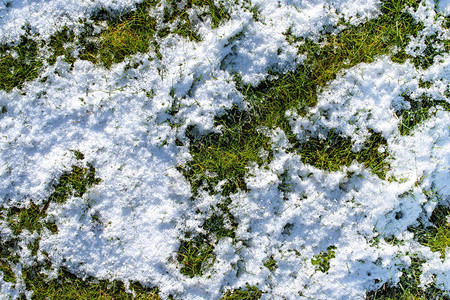 在绿草上融雪在冬季和春季概念背景图片