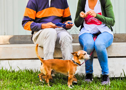 一个男人和一个女人带着手机和一只小狗图片