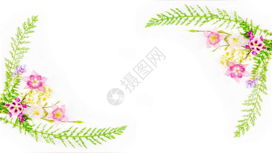 粉红色花束白色茉莉花和绿色叶子的架子图片