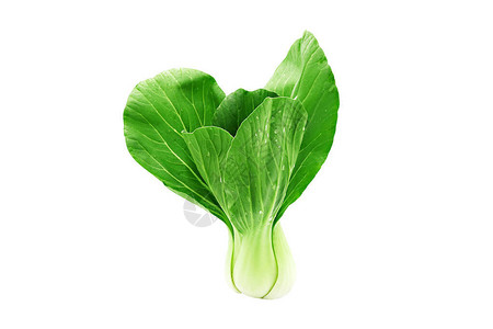 Bokchoy卷心菜蔬菜图片