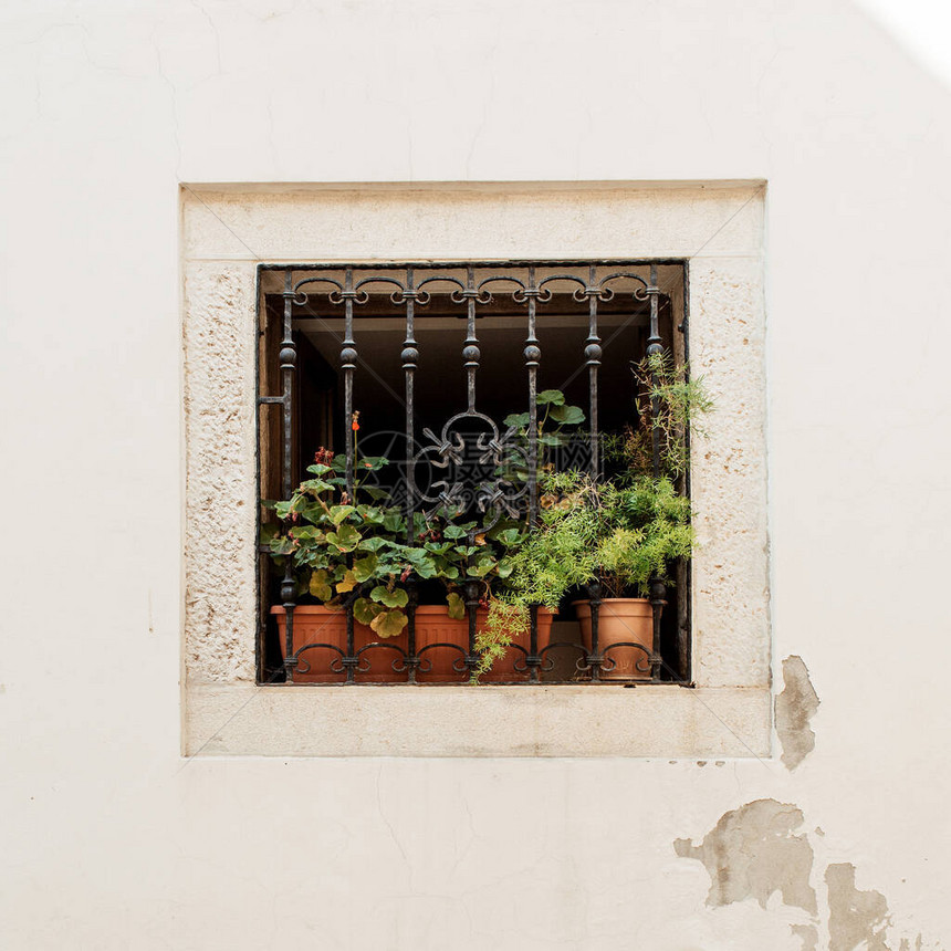 最小的建筑概念白色建筑上有铁质小方窗和带绿色植物的图片