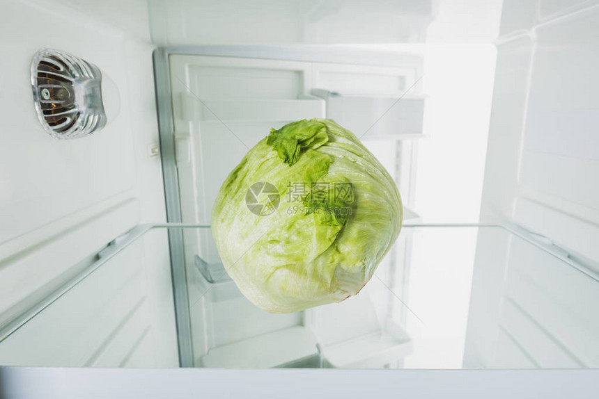 冰箱里新鲜的菜卷开着图片