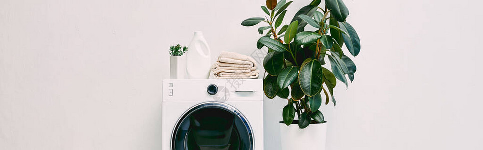 现代洗手间用清洁剂瓶子附近的植物和洗衣机毛巾拍摄图片