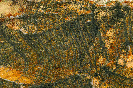 白色背景上的宏观石矽卡岩矿物特写图片