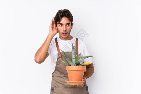 年轻的caucasian园丁男子持有一个植物孤立图片