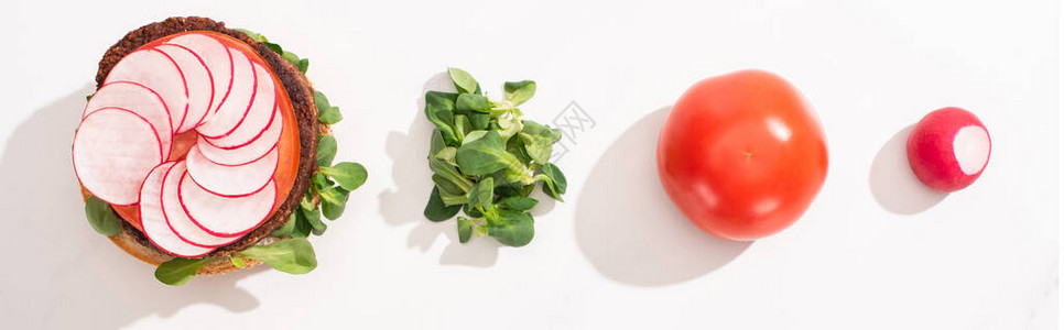 白色背景的西红柿番茄和芽图片