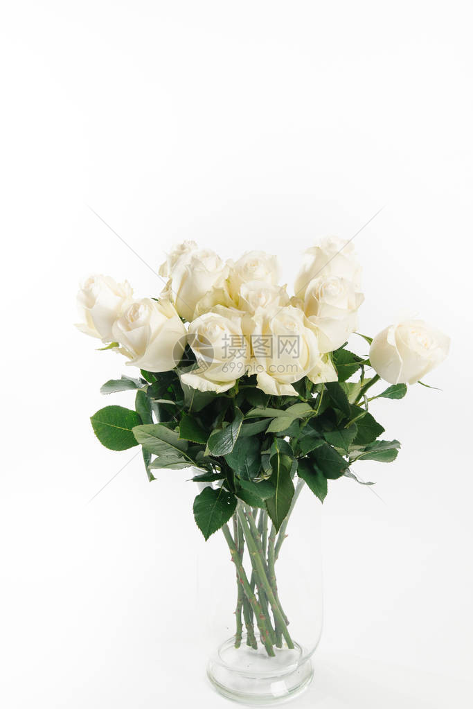 白色背景上华丽的白玫瑰花束图片