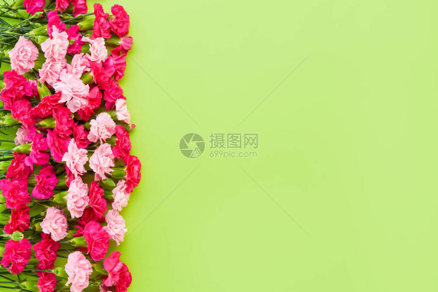 绿色背景的粉红色康乃馨包母亲日情人节生日庆祝活动概念Tet复制空间图片