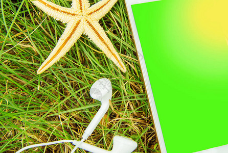 使用手机耳机电话和绿草上的海星预订酒店和假期的概念手图片