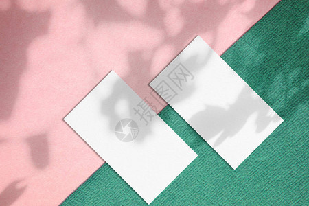 两个白色矩形商业卡模型图片